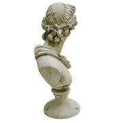 Cast Terracotta Bust of Apollo Belvedere