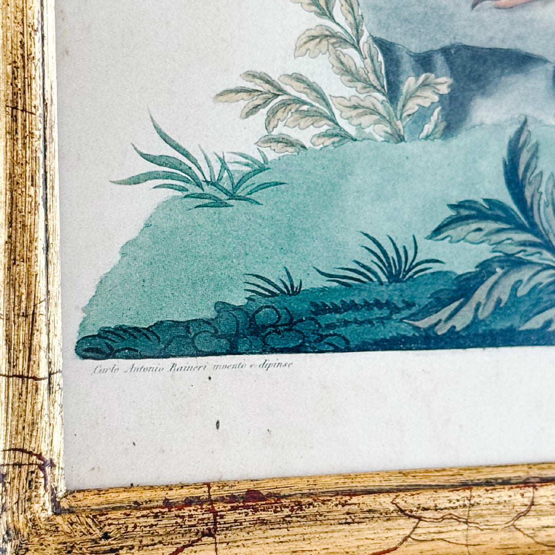 19th Century Pair of Carlo & Vittorio Raineri Exotic Bird Lithograph Prints in Antiqued Gilt Mirrored Frames