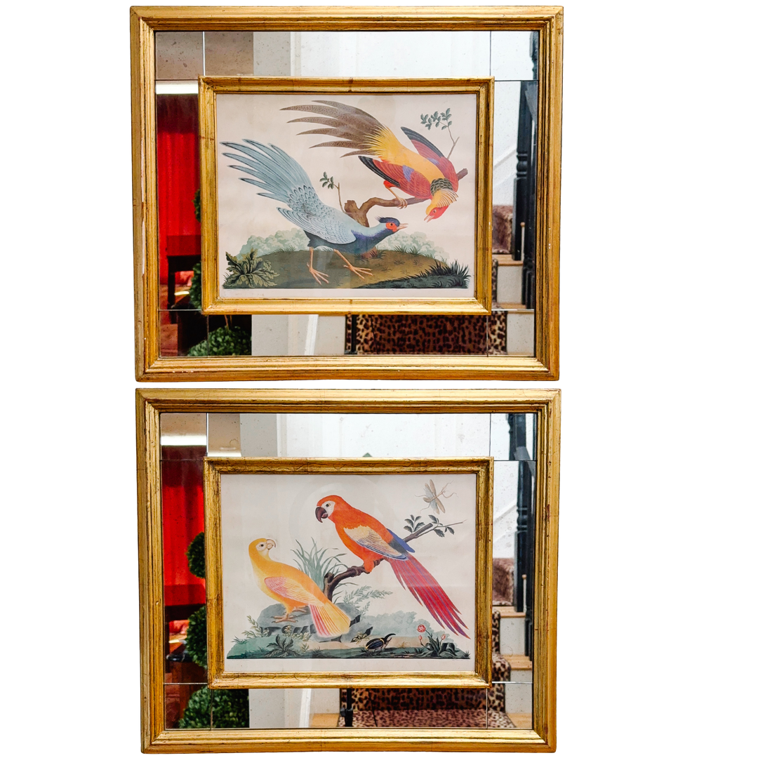 19th Century Pair of Carlo & Vittorio Raineri Exotic Bird Lithograph Prints in Antiqued Gilt Mirrored Frames