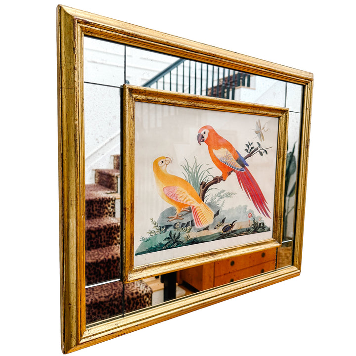 19th Century Pair of Carlo & Vittorio Raineri Exotic Bird Lithograph Prints in Antiqued Gilt Mirrored Frames