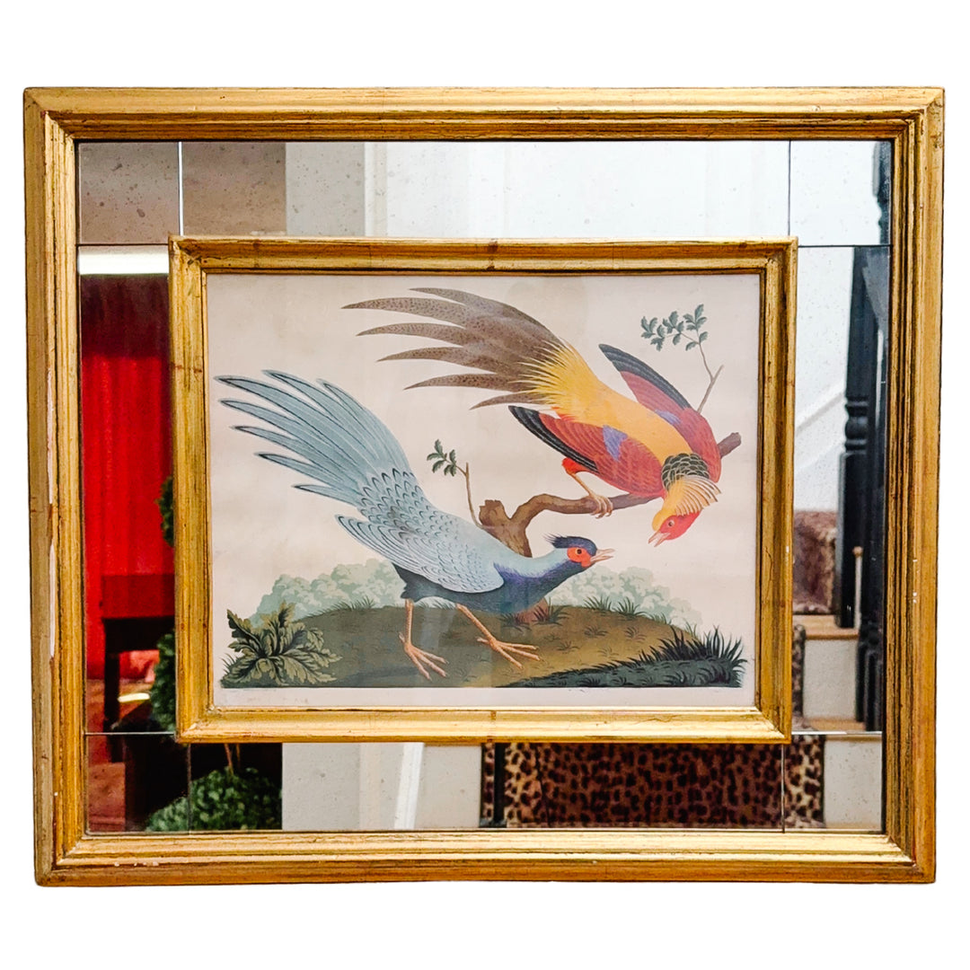 19th Century Pair of Carlo & Vittorio Raineri Exotic Bird Lithograph Prints in Antiqued Gilt Mirrored Frames