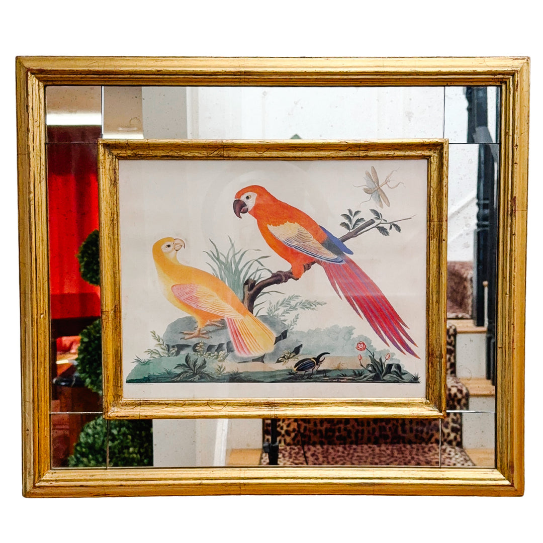 19th Century Pair of Carlo & Vittorio Raineri Exotic Bird Lithograph Prints in Antiqued Gilt Mirrored Frames