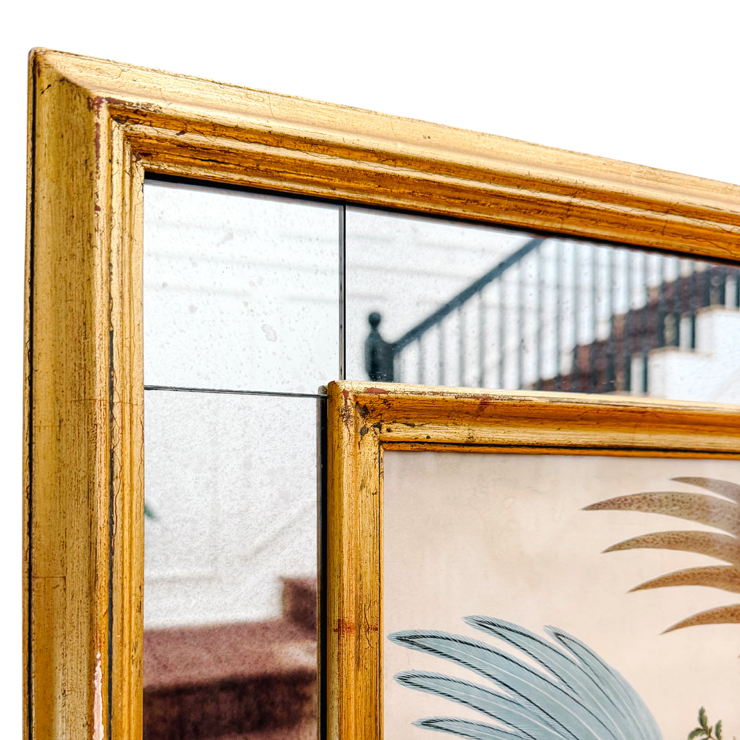 19th Century Pair of Carlo & Vittorio Raineri Exotic Bird Lithograph Prints in Antiqued Gilt Mirrored Frames