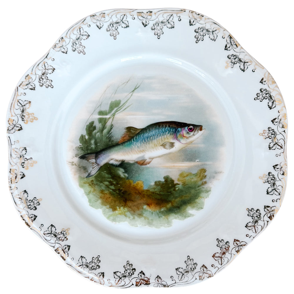 Antique Continental Porcelain Fish Plates Set