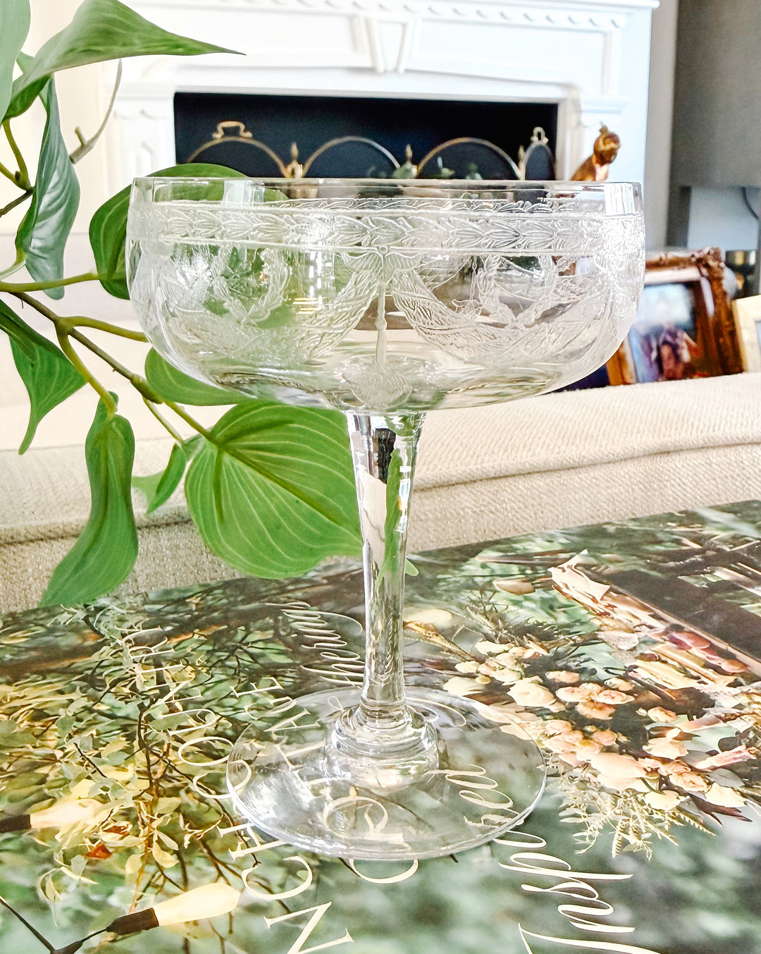 French Antique Laurel & Swag Crystal Guilloché Champagne Coupes, Set of 8