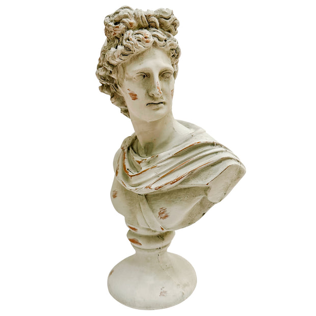 Cast Terracotta Bust of Apollo Belvedere