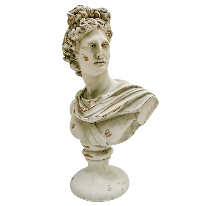 Cast Terracotta Bust of Apollo Belvedere