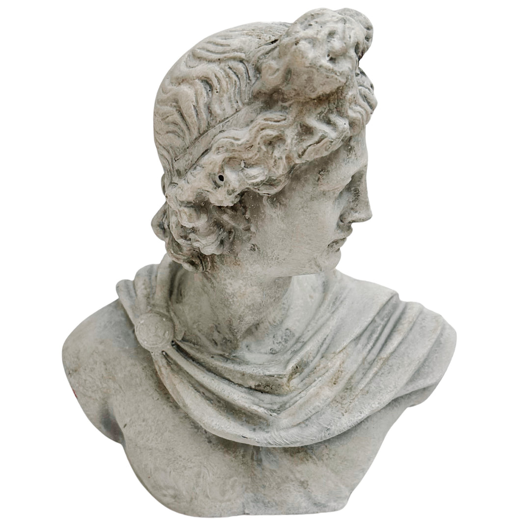 Concrete Bust of Apollo of Belvedere