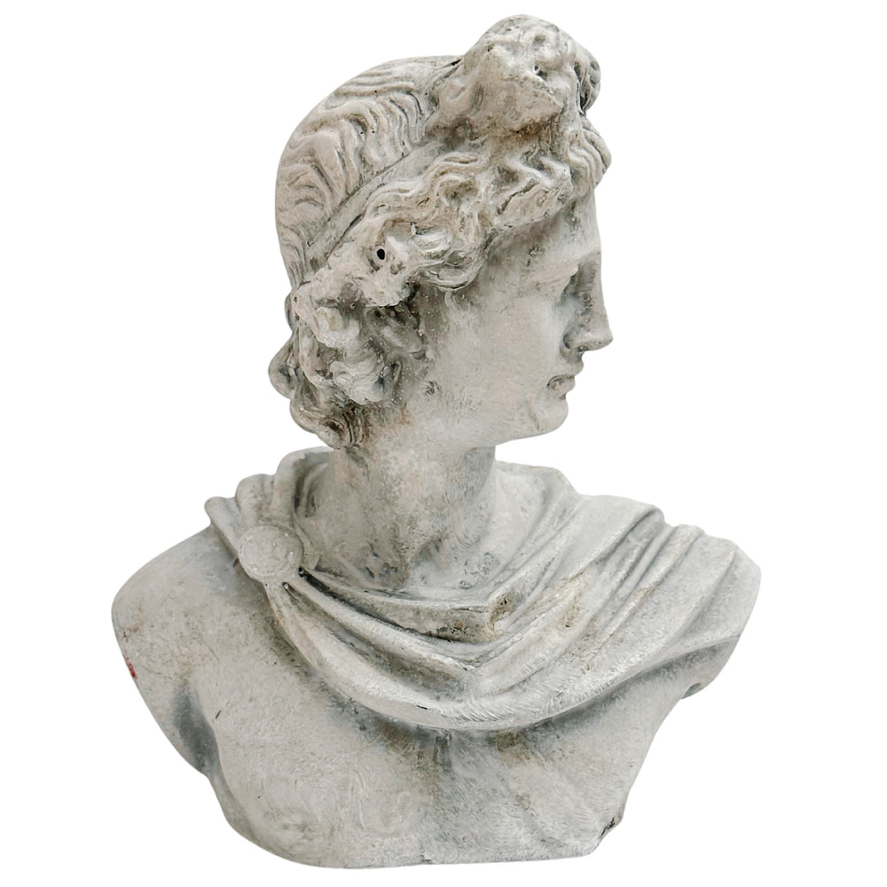 Concrete Bust of Apollo of Belvedere