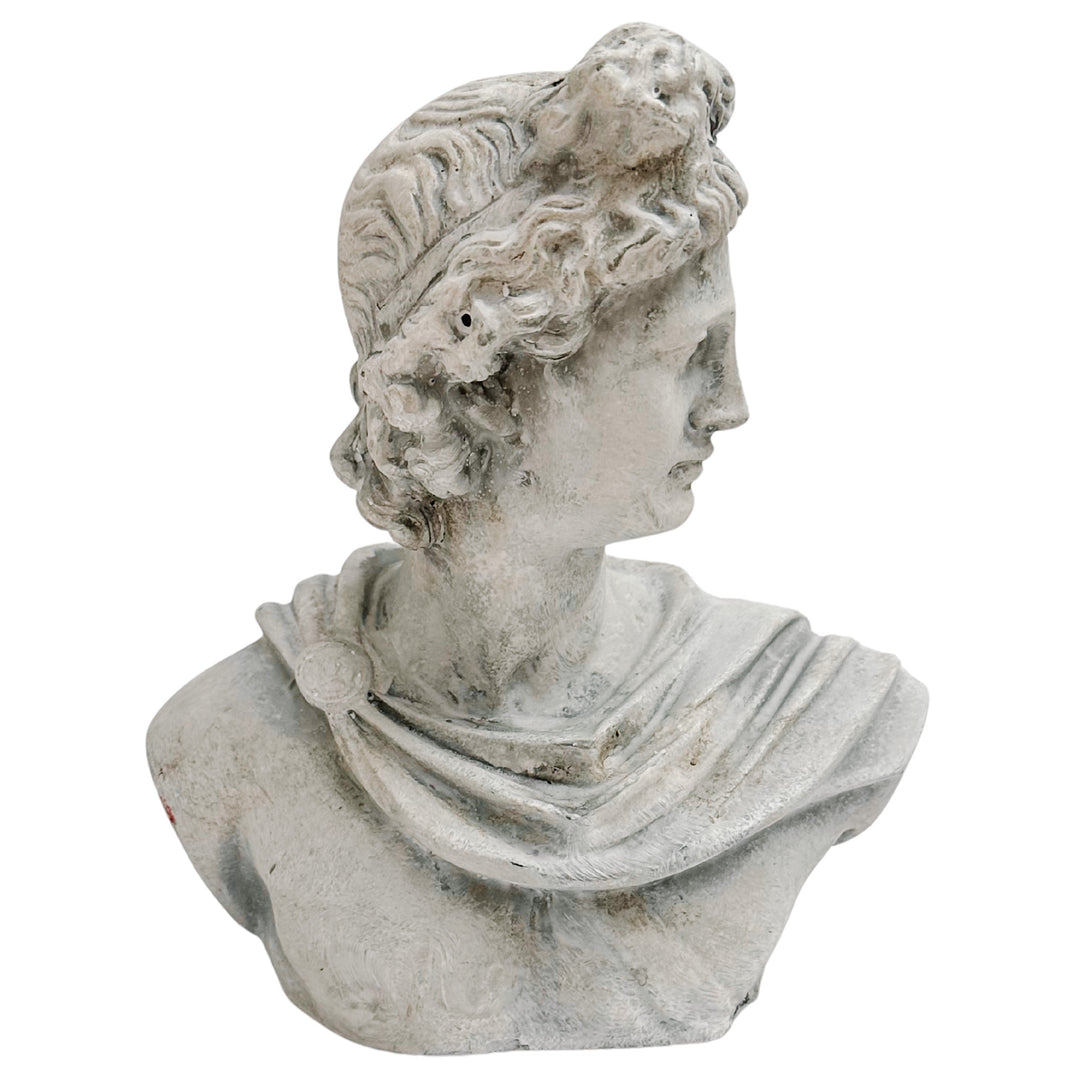 Concrete Bust of Apollo of Belvedere