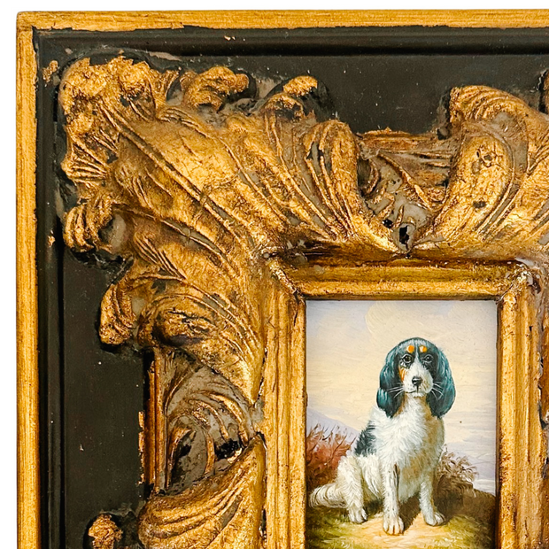 Framed English Spring Spaniel Painting On Board
