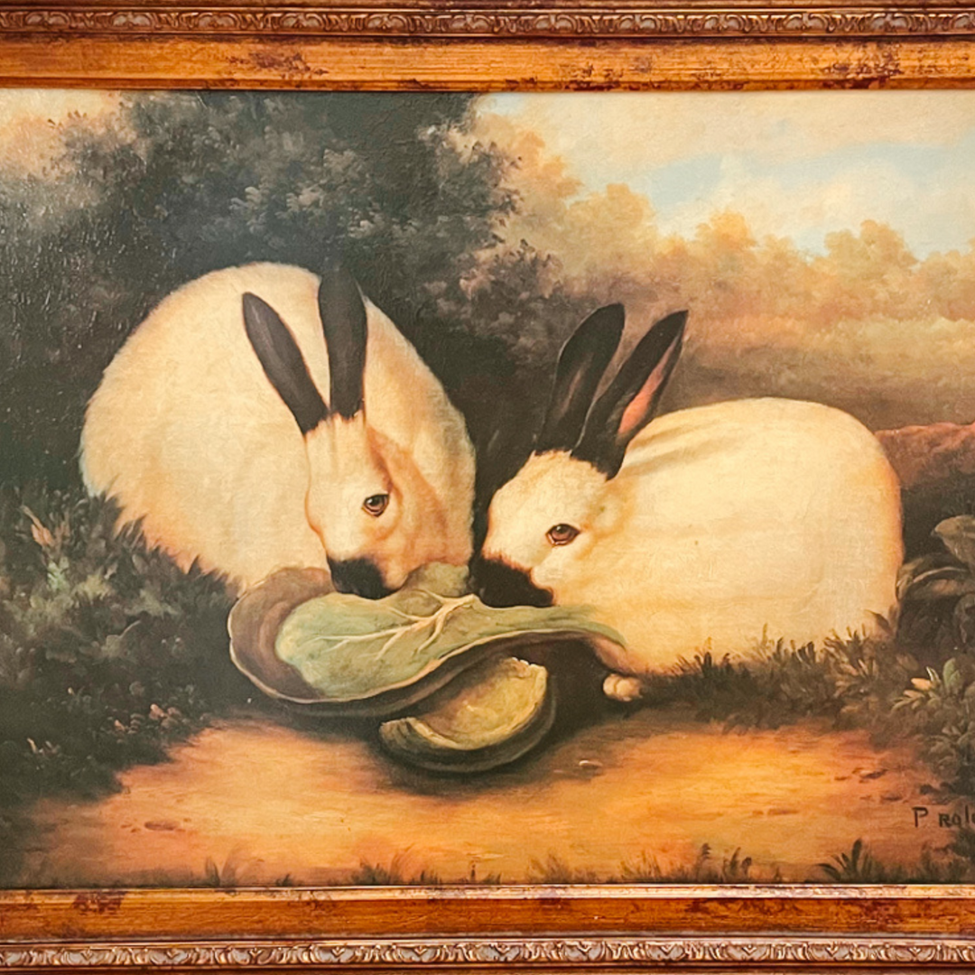 Framed Himalayan Rabbits Giclee Print