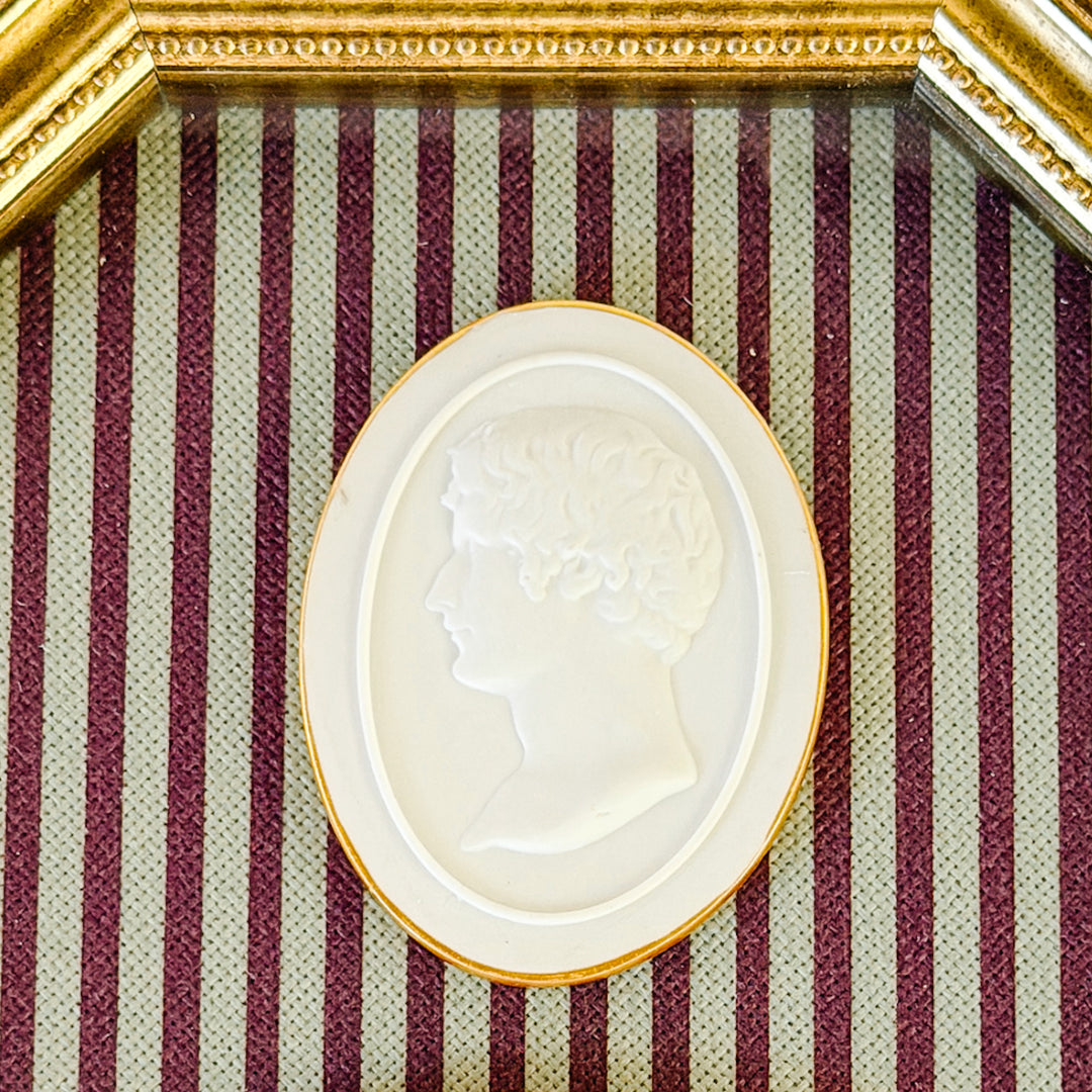 Framed Neoclassical Plaster Intaglio Medallions in Giltwood Shadow Box Frame