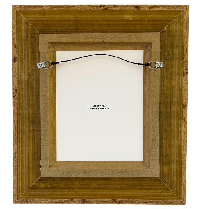 Framed Seashell Engraving Prints - Conchology Engravings After Georg Wolfgang Knorr, Set of 4