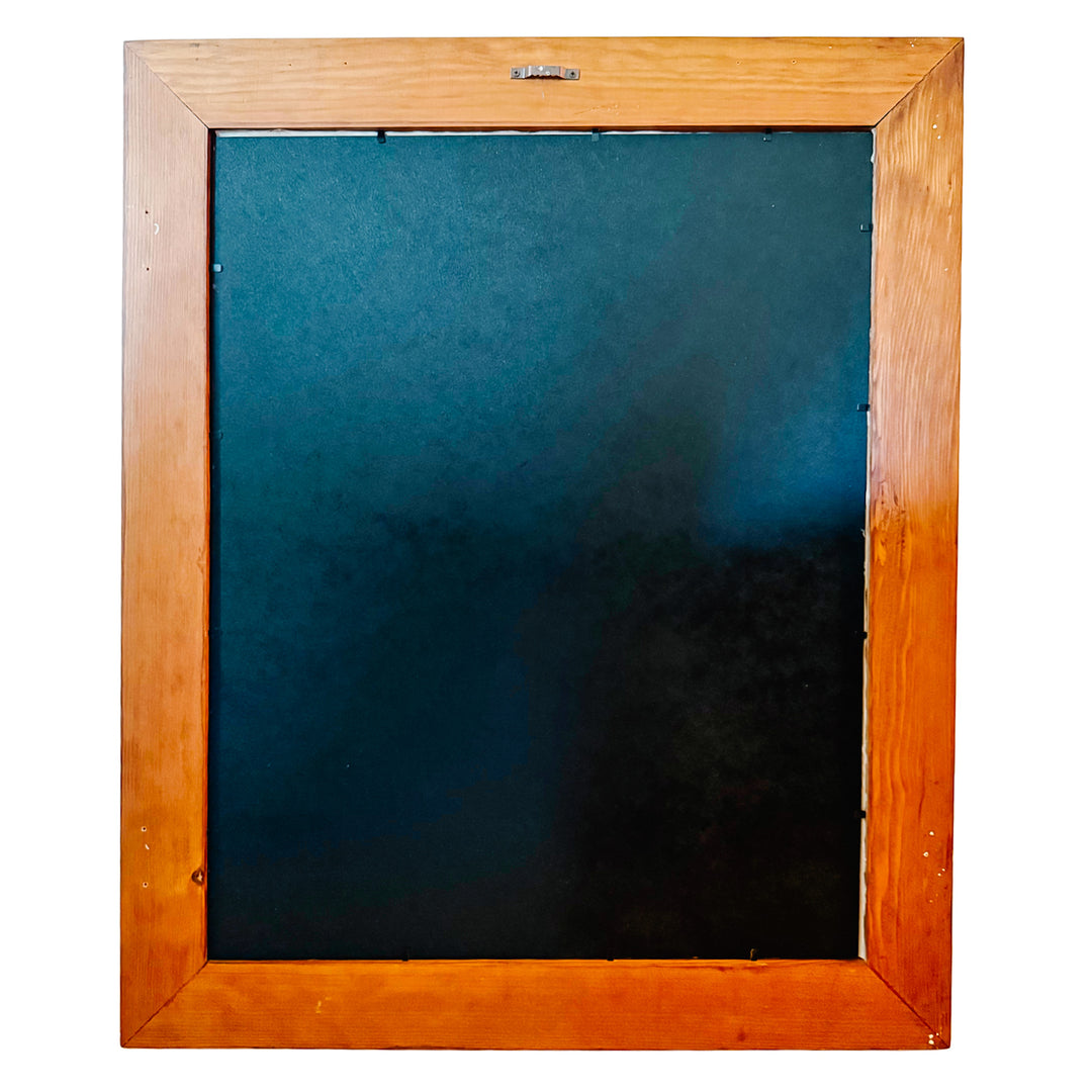 French Ornithological Bird Lithographs Macaw & Toucan in Large Faux Bamboo Frames