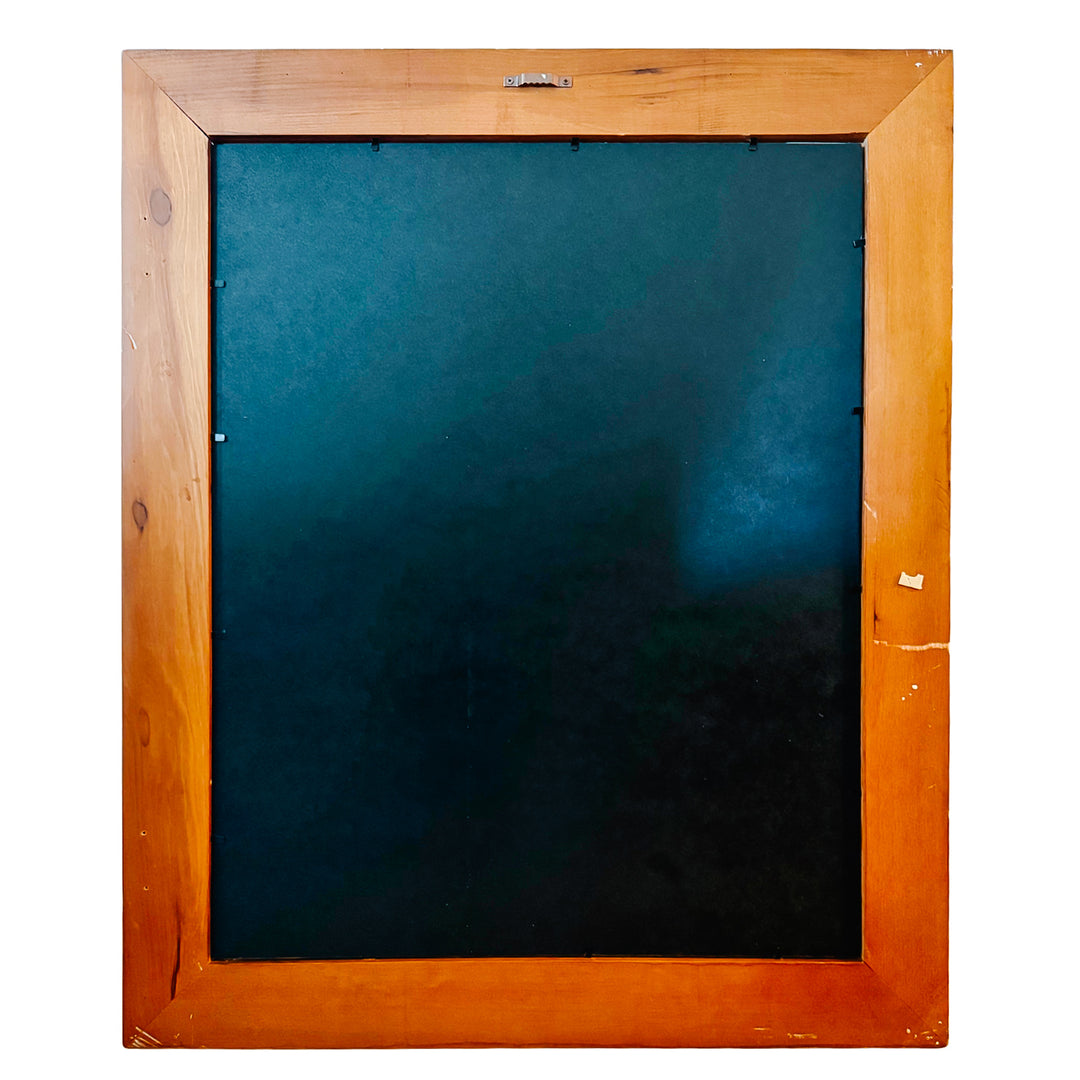 French Ornithological Bird Lithographs Macaw & Toucan in Large Faux Bamboo Frames