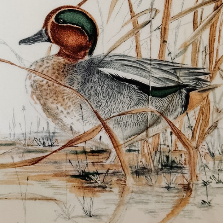 Gien Sologne Faience Duck Dessert  Pie Plate 9 French Majolica