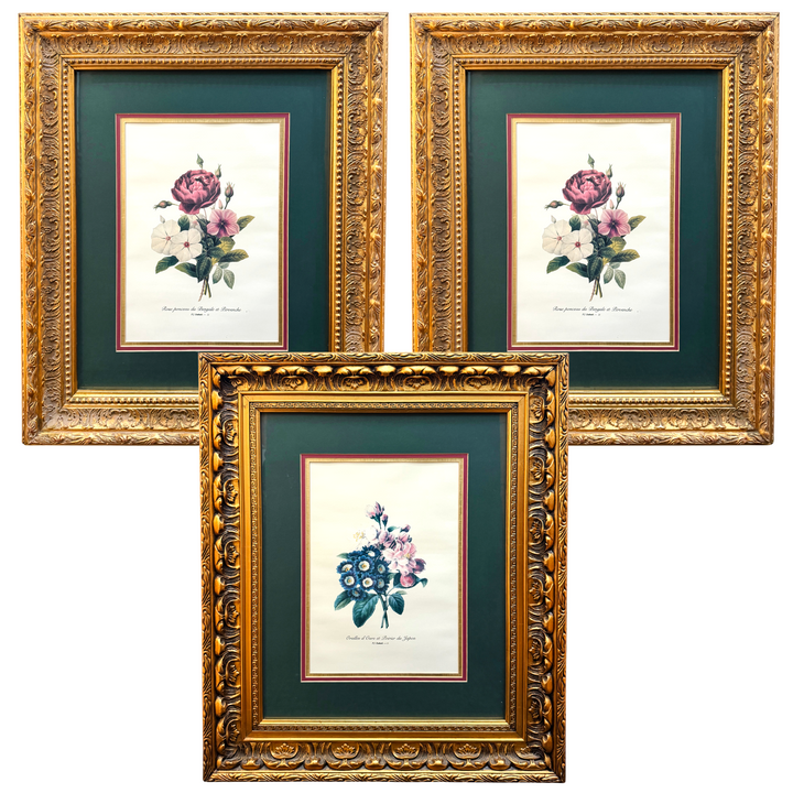 Grand Scale French Framed Botanical Set by Pierre-Joseph Redouté