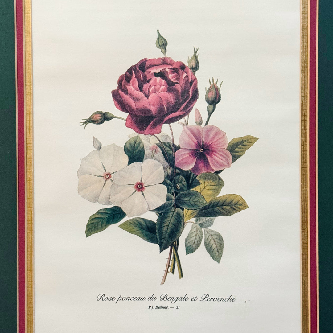 Grand Scale French Framed Botanical Set by Pierre-Joseph Redouté