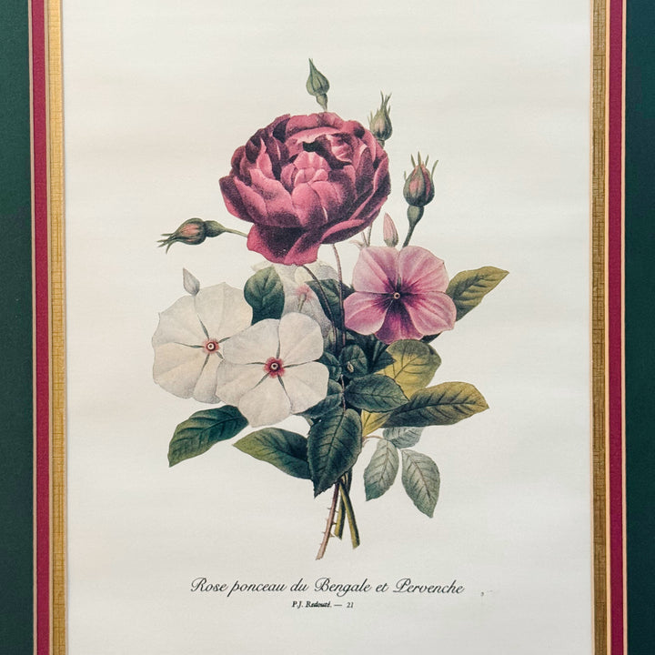 Grand Scale French Framed Botanical Set by Pierre-Joseph Redouté