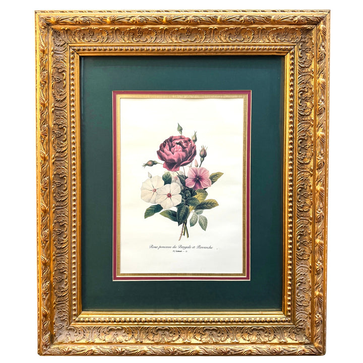 Grand Scale French Framed Botanical Set by Pierre-Joseph Redouté