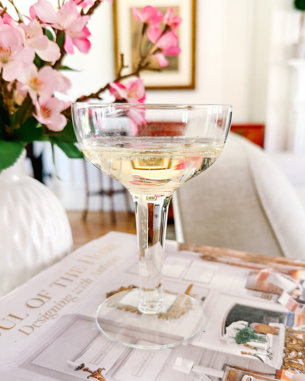 Hollow Stem Coupe Glasses