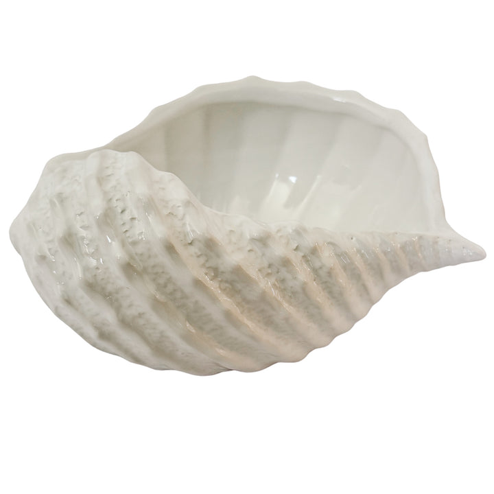 Italian Bassano White Ceramic Conch Shell Bowl – Decorative Planter or Serving Dish