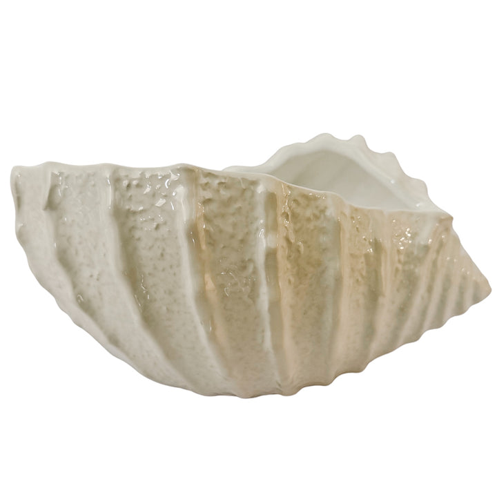Italian Bassano White Ceramic Conch Shell Bowl – Decorative Planter or Serving Dish
