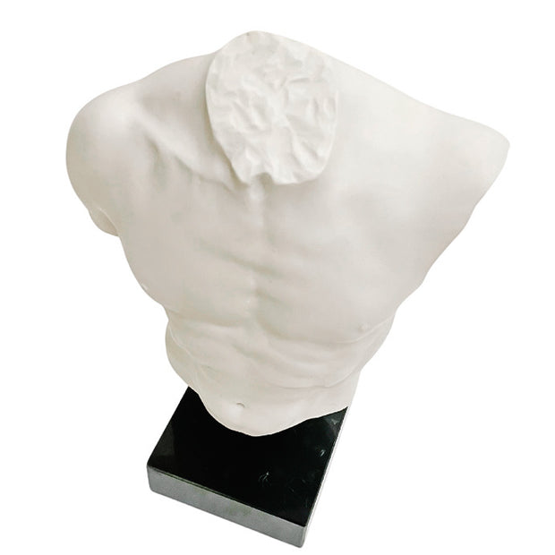 Italian Male Torso Sculpture on Marble Base