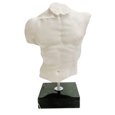 Italian Male Torso Sculpture on Marble Base