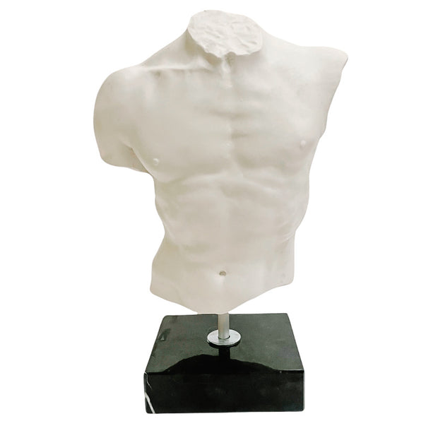 Italian Male Torso Sculpture on Marble Base