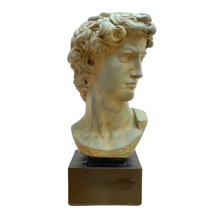 Large Scale Vintage Michelangelo’s David Bust Sculpture on Plinth