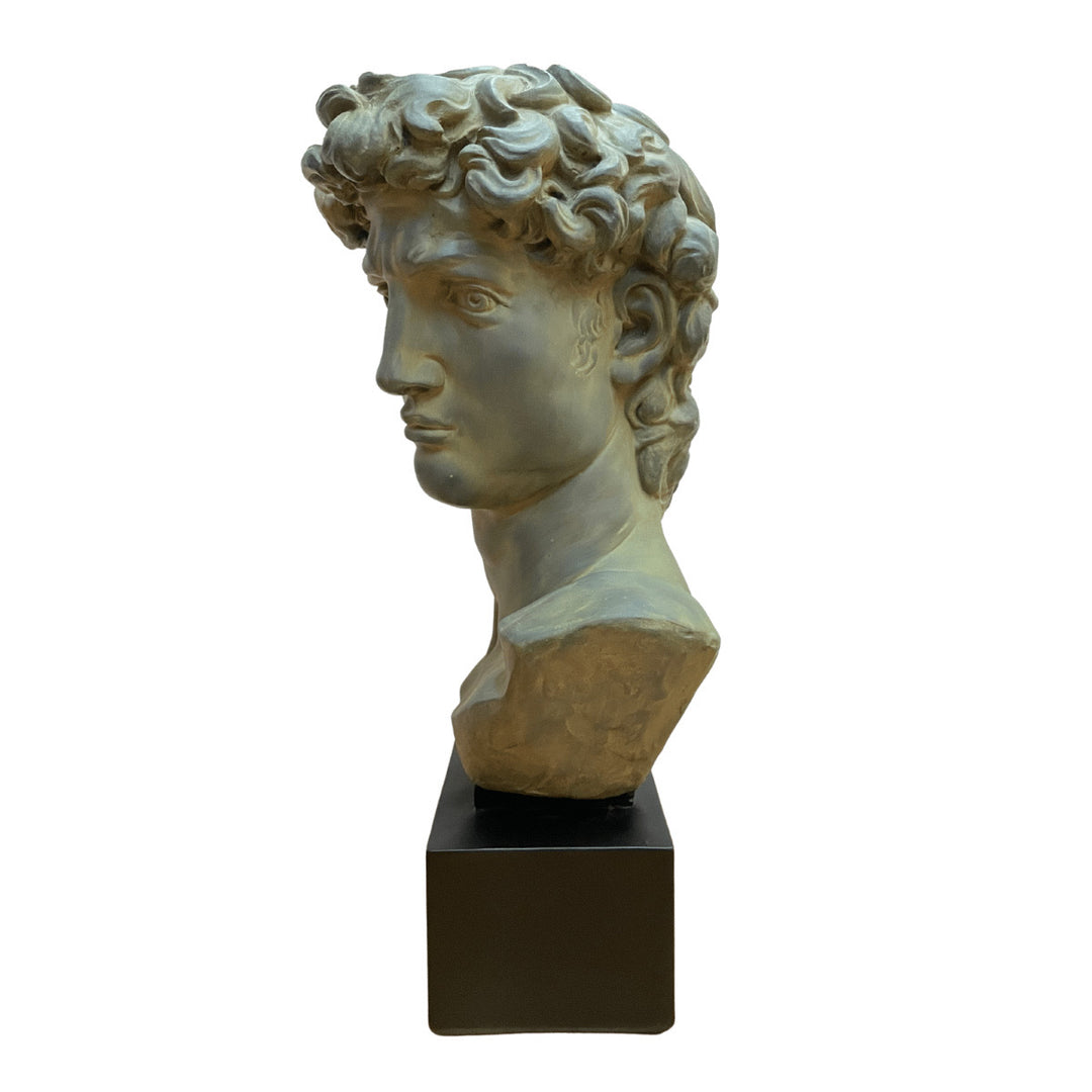 Large Scale Vintage Michelangelo’s David Bust Sculpture on Plinth