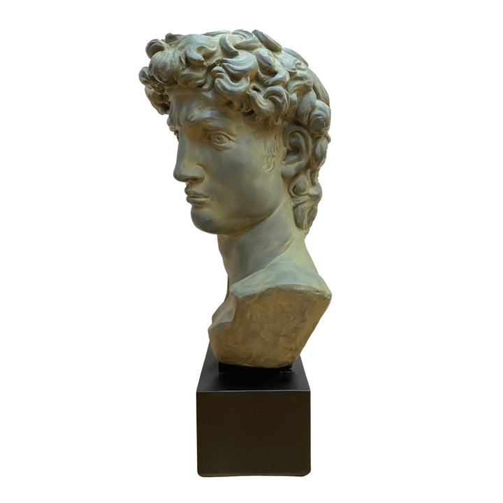 Large Scale Vintage Michelangelo’s David Bust Sculpture on Plinth
