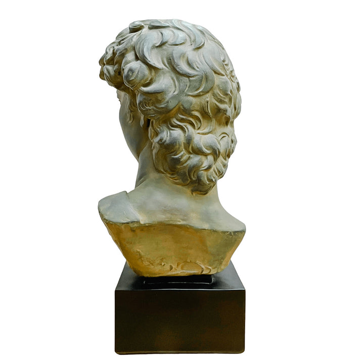 Large Scale Vintage Michelangelo’s David Bust Sculpture on Plinth