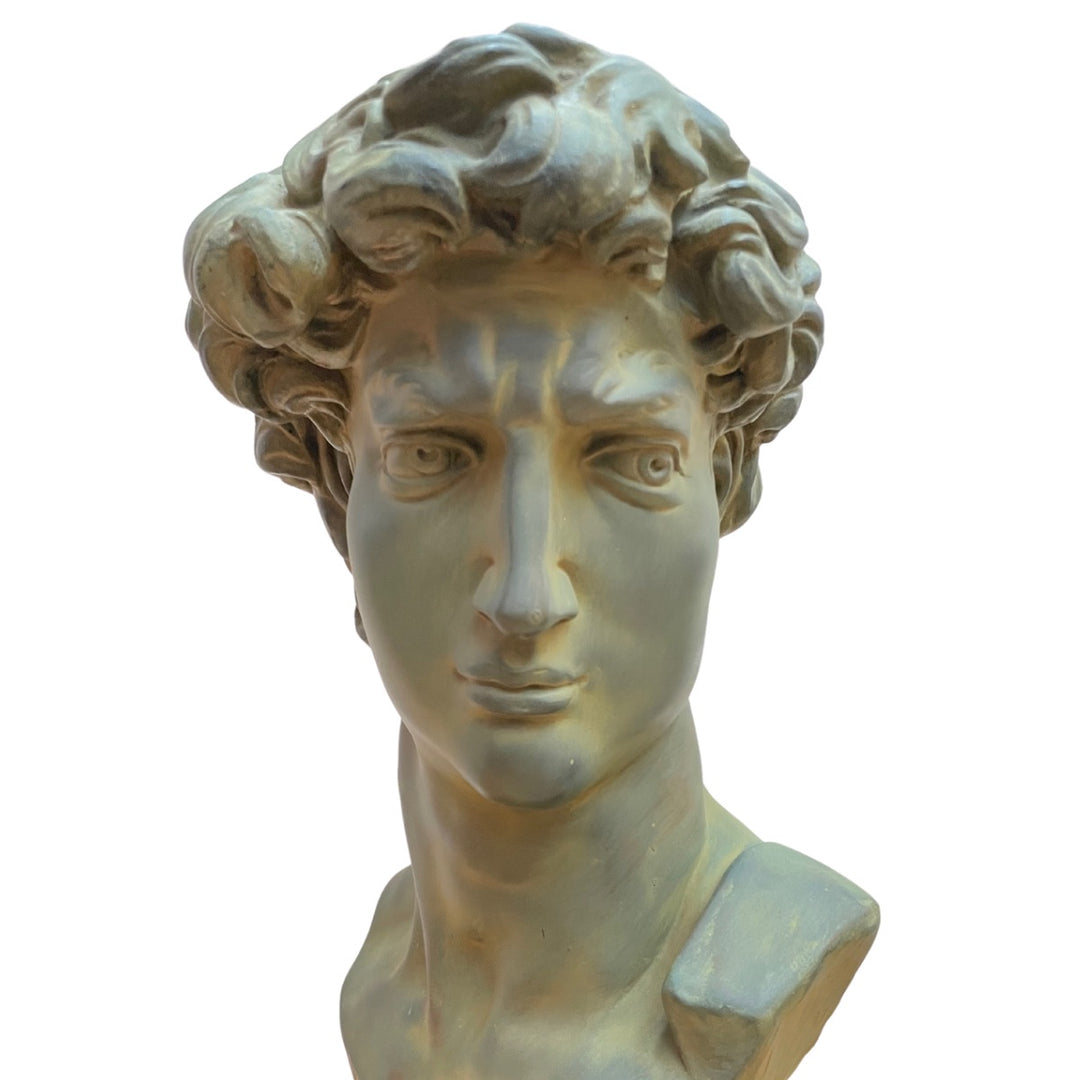Large Scale Vintage Michelangelo’s David Bust Sculpture on Plinth