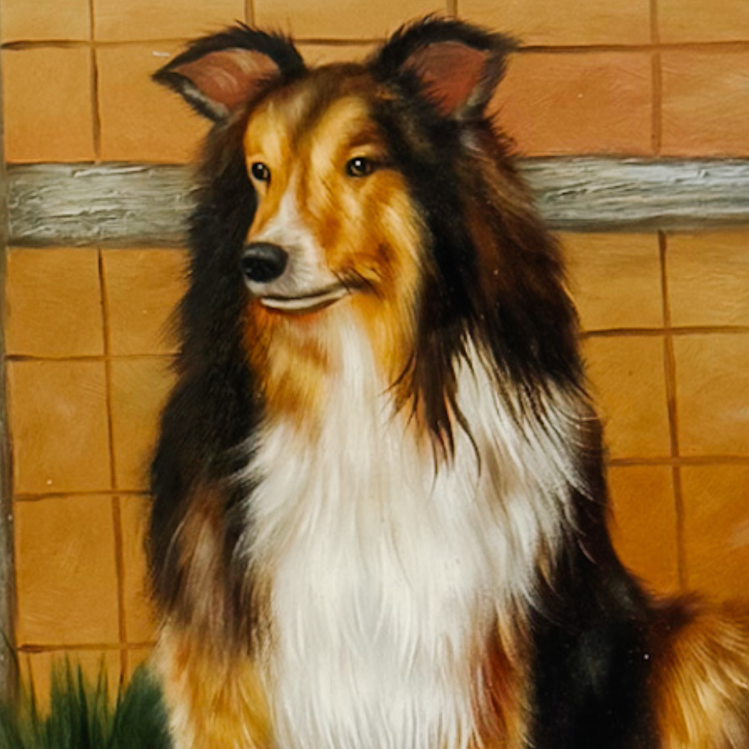 Framed Oil on Board Portrait of a Rough Collie