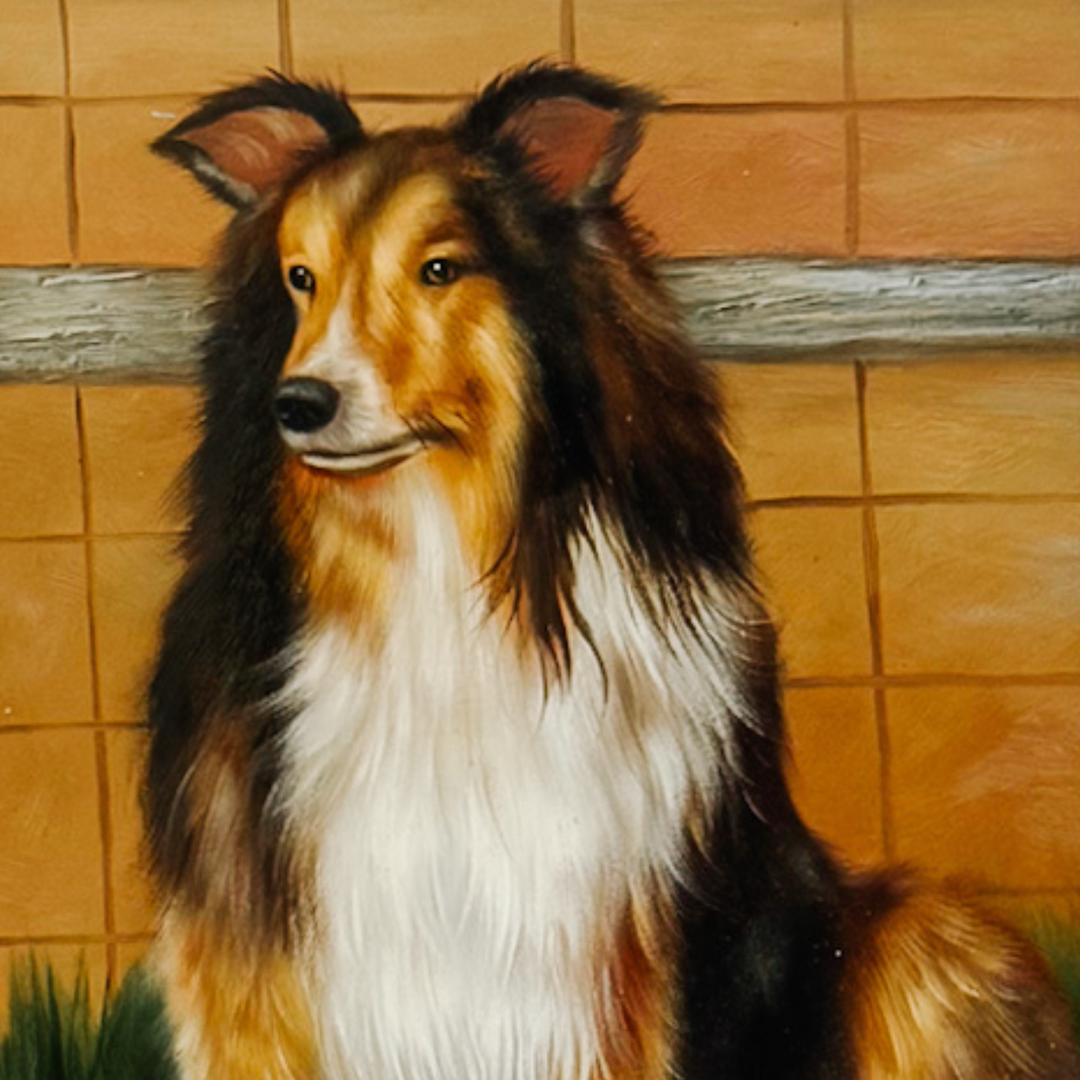 Framed Oil on Board Portrait of a Rough Collie