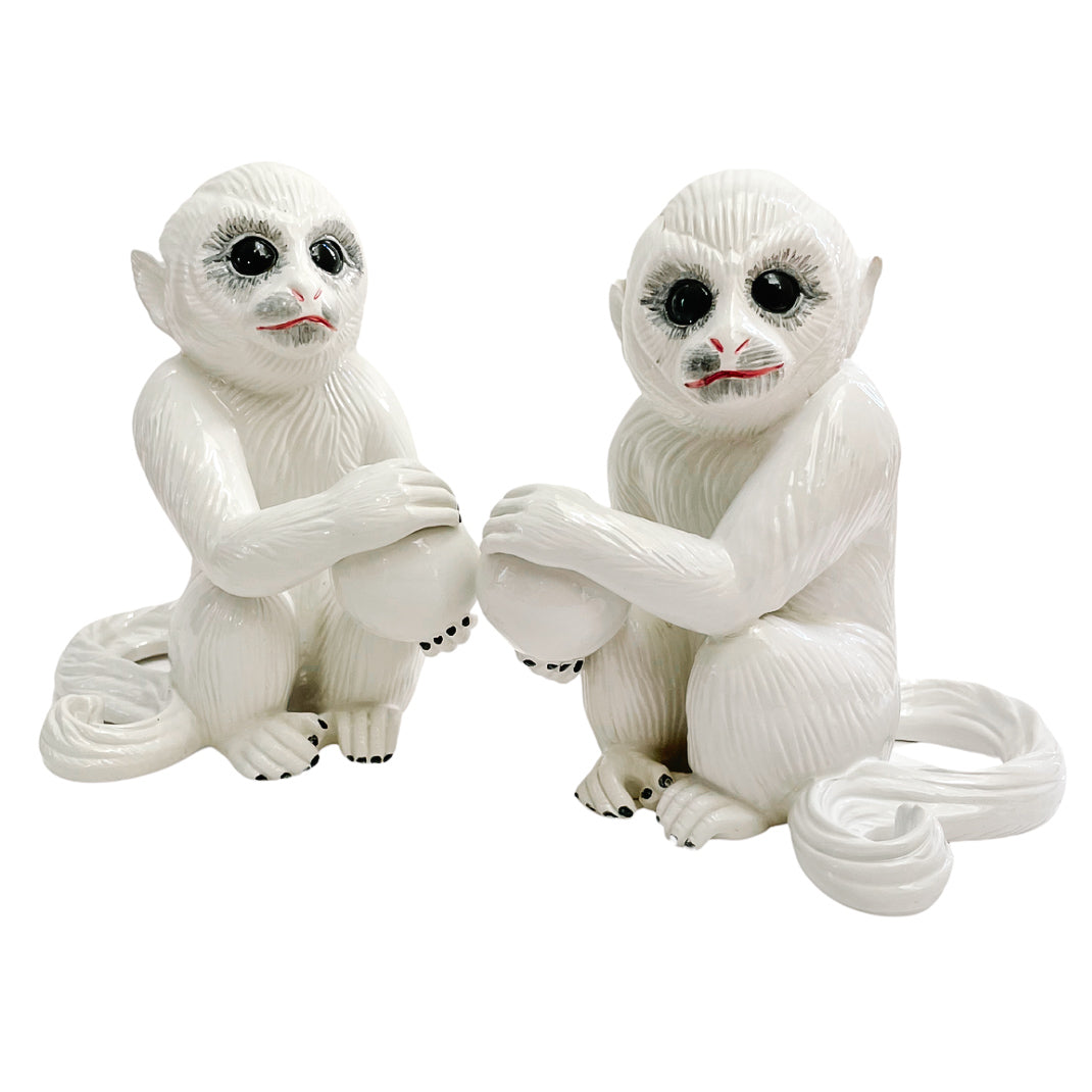 Mottahedeh Capuchin Monkey Bookends