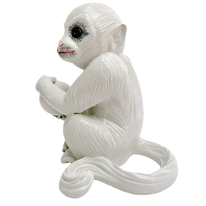 Mottahedeh Capuchin Monkey Bookends