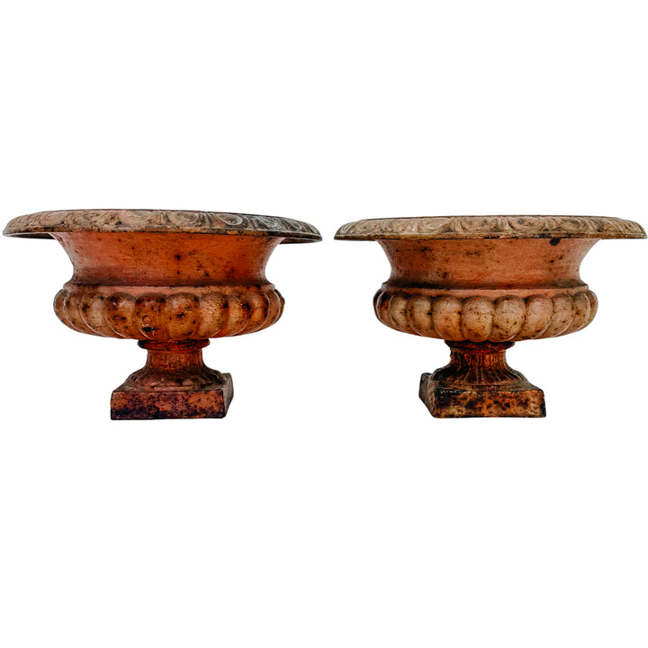 Pair of Petite Antique French Style Cast Iron Campana Urn Planters