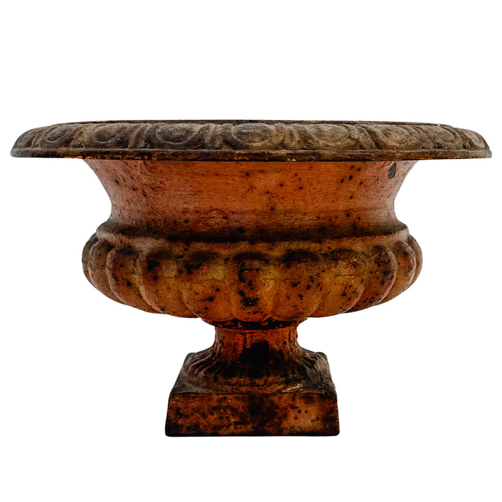 Pair of Petite Antique French Style Cast Iron Campana Urn Planters