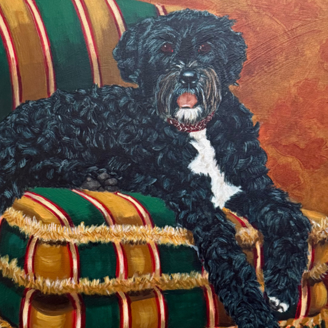 Pair of Large Original Oil Portraits of a Portuguese Water Dog on a Striped Bergère