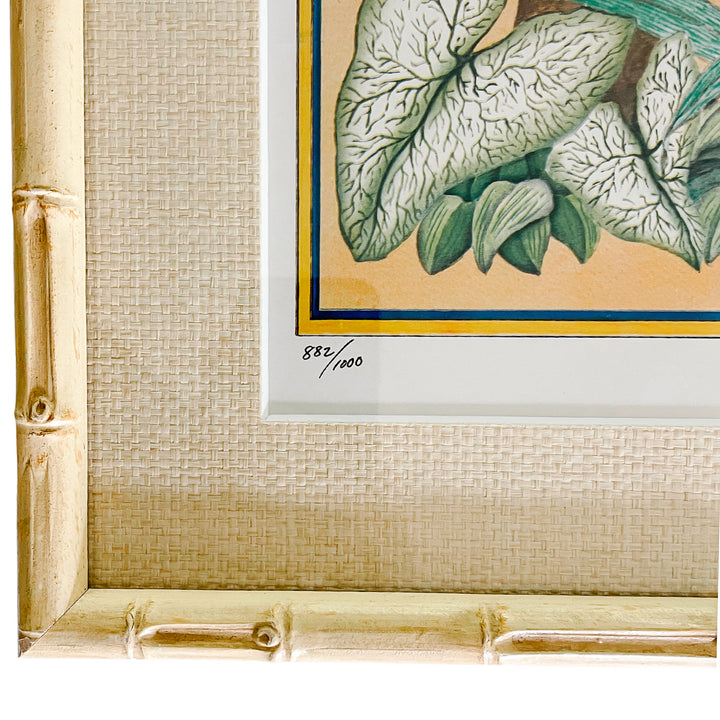 Vintage Faux Bamboo Framed Parrot Prints, Cockatoos & Macaws