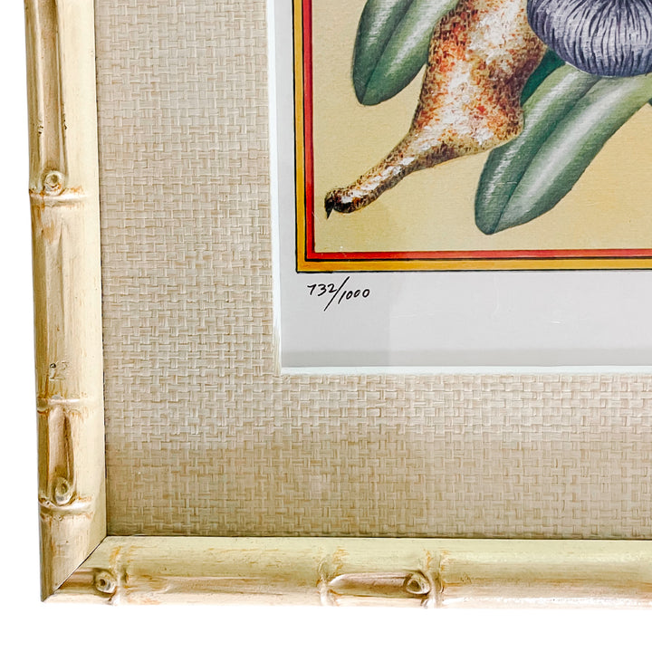 Vintage Faux Bamboo Framed Parrot Prints, Cockatoos & Macaws