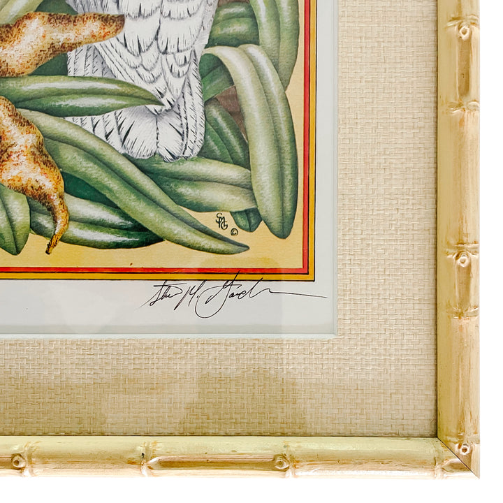 Vintage Faux Bamboo Framed Parrot Prints, Cockatoos & Macaws
