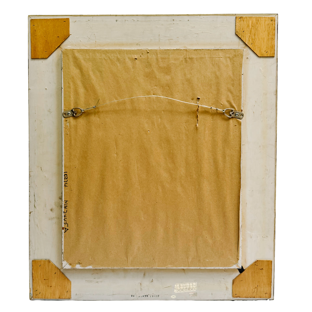 Pair of 1950s Framed French Ornithological Parrot Lithographs After Jacques Barraband