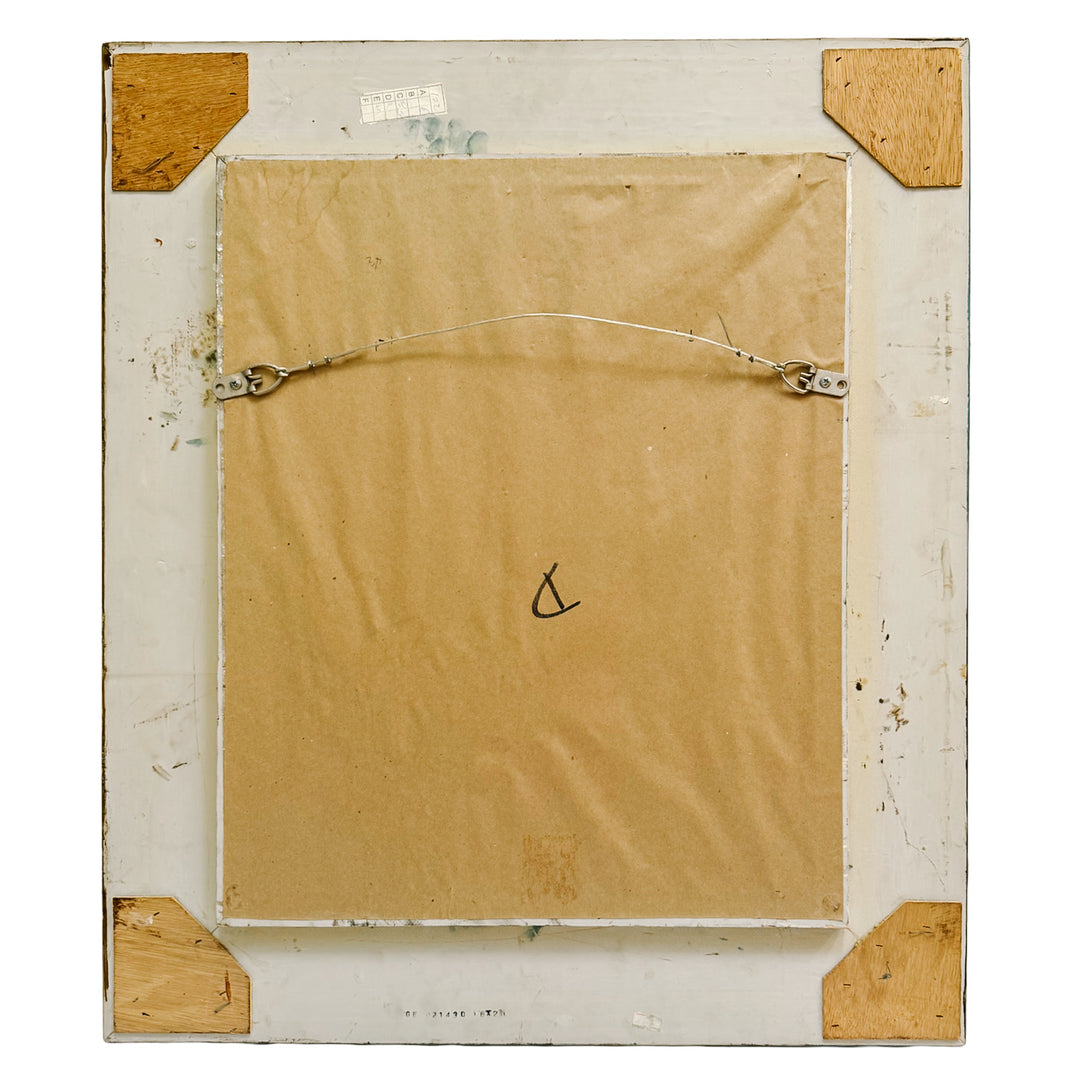 Pair of 1950s Framed French Ornithological Parrot Lithographs After Jacques Barraband