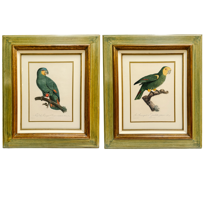 Pair of 1950s Framed French Ornithological Parrot Lithographs After Jacques Barraband