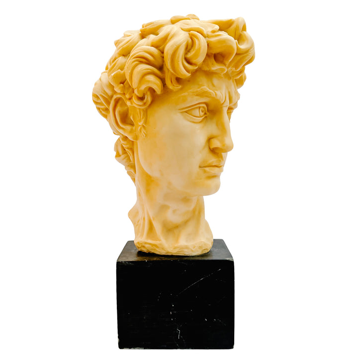 Vintage Italian A. Santini Michelangelo’s David Bust Sculpture on Composite Stone Base